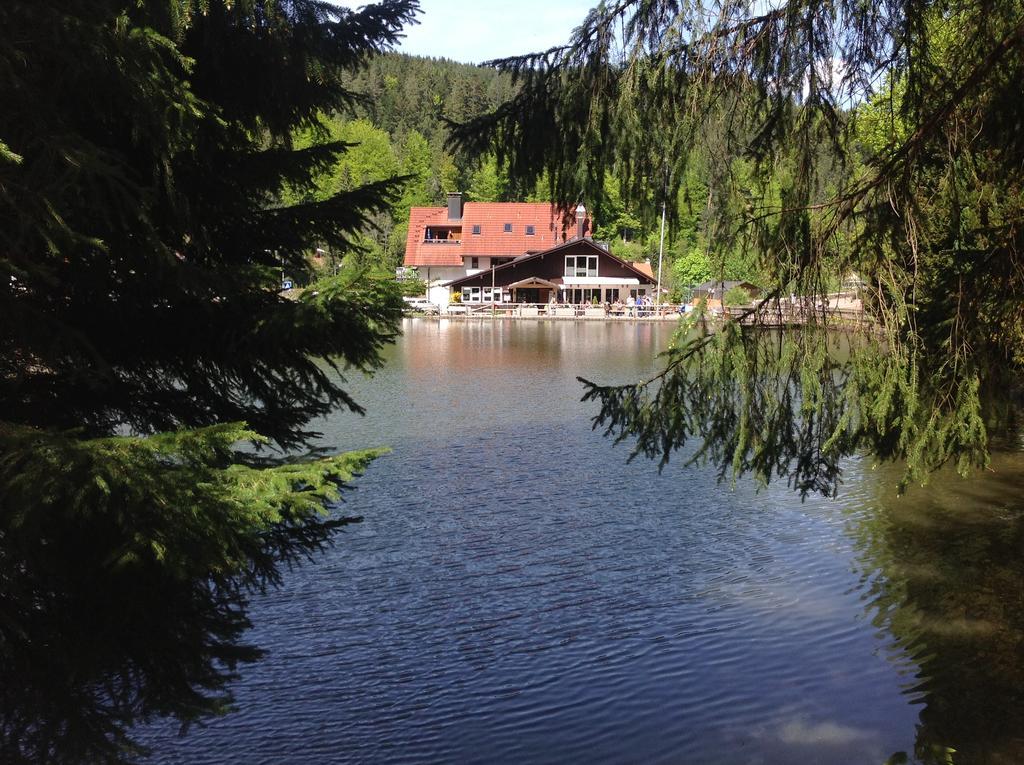 Self-Check-In Ferienwohnungen & Apartments Am Bergsee 트리베르크 외부 사진