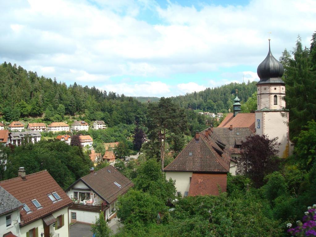 Self-Check-In Ferienwohnungen & Apartments Am Bergsee 트리베르크 객실 사진